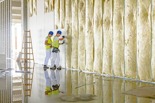 Best Insulation Repair Services  in Moody Af, GA